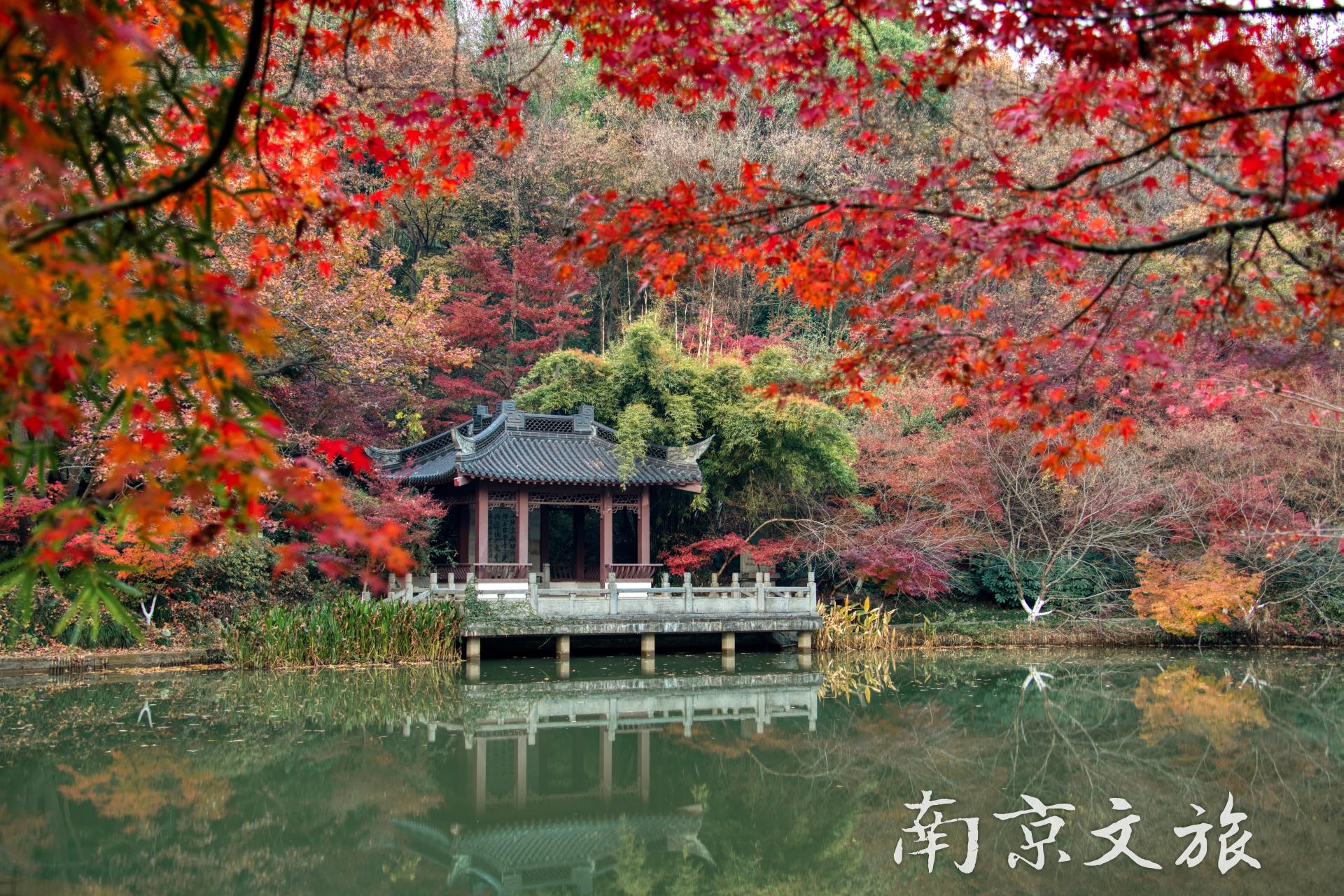  南京旅游方案,疫情之后的南京旅游