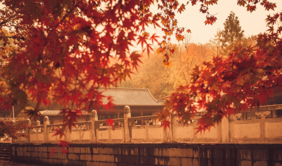  南京地接旅游景点,赏栖霞明秀之美