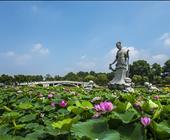 华东地接旅行社四季特色-玄武湖泛舟赏荷