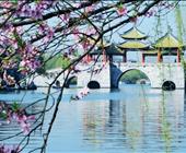 华东地接旅行社南京扬州二日游（瘦西湖赏花）