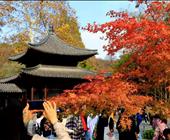 华东地接旅行社四季特色-栖霞赏枫情