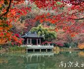特惠行程-红枫节二日游