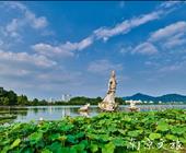 四季特色-玄武湖泛舟赏荷